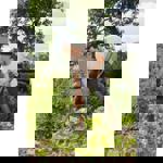 Gardena NatureLine Fork thumbnail