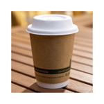 12oz Kraft Compostable Double Wall Cups thumbnail