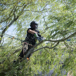 EGO CS1200E 30cm 56V Cordless Chainsaw (Bare) thumbnail