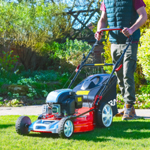 Cobra M51SPCVX 51cm Petrol Lawn Mower (Self Propelled) thumbnail
