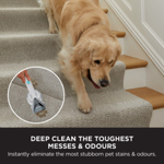 Shark CarpetXpert Deep Carpet Cleaner with Built-In StainStriker EX200UK thumbnail