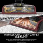 Shark CarpetXpert HairPro Pet Deep Carpet Cleaner EX220UK thumbnail