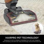 Shark CarpetXpert HairPro Pet Deep Carpet Cleaner EX220UK thumbnail