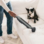 Shark WandVac 2-in-1 Cordless Vacuum with Anti Hair Wrap (Single Battery) WV361UK thumbnail