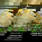 Ninja ZEROSTICK Classic 16cm Saucepan CW50216UK thumbnail