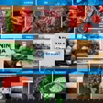 Ninja Foodi StaySharp Knife Block with Integrated Sharpener (6-Piece Set) K32006UK thumbnail