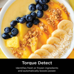 Ninja Detect Blender Pro TB201UK thumbnail