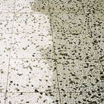 HG Patio-Tile Cleaner thumbnail