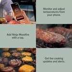 Ninja FlexFlame ProConnect Gas BBQ & Outdoor Cooking System PG305UK thumbnail