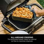 Ninja Woodfire Electric BBQ Combo Crisper Basket XSKCRISPBTEUK thumbnail
