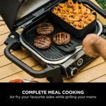 Ninja Woodfire Electric BBQ Combo Crisper Basket XSKCRISPBTEUK thumbnail