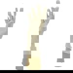 Lightly Powdered Vinyl Gloves (Small) thumbnail