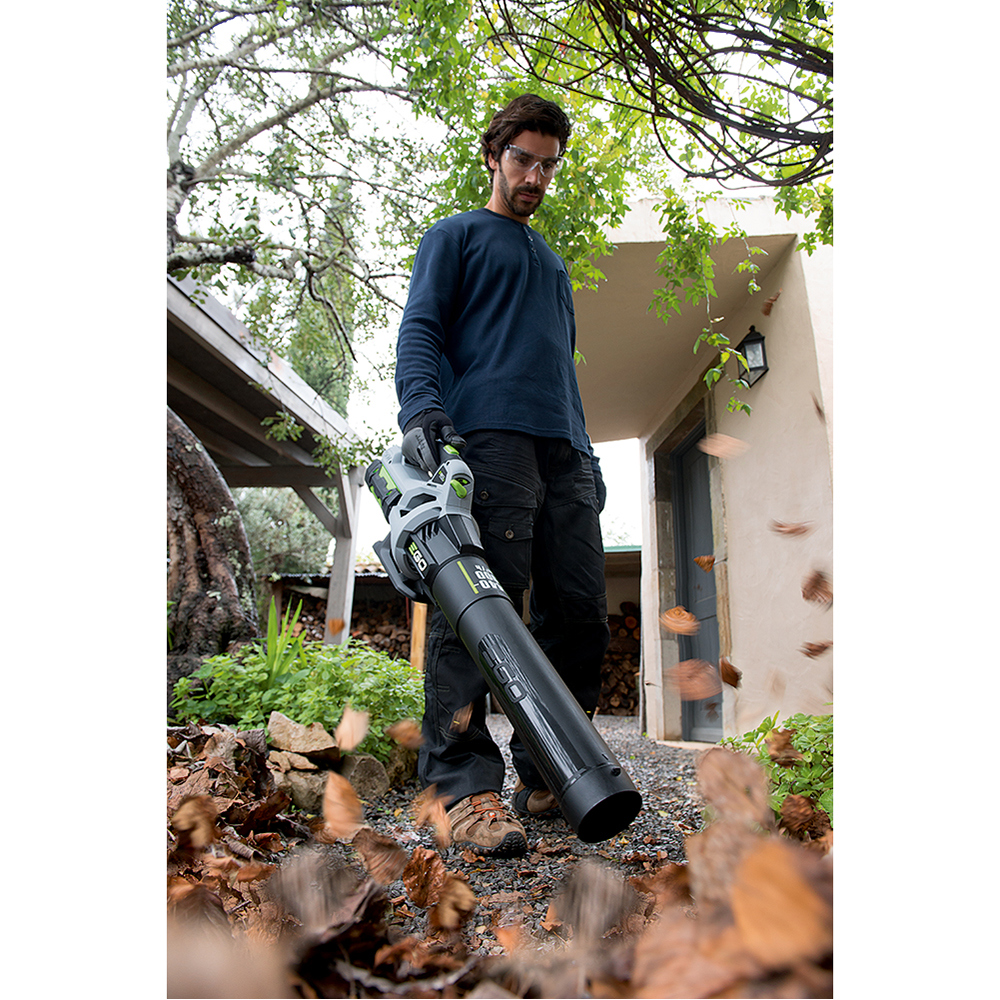 e go leaf vacuum