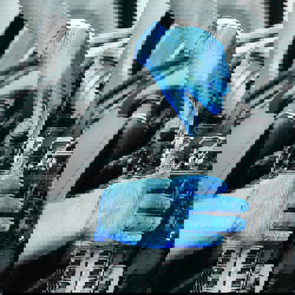 Powder Free Blue Vinyl Gloves (Large) Food Industry CleanStore